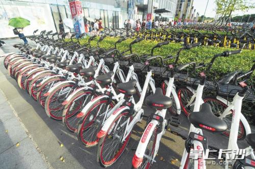 昨日下午，在開(kāi)福區(qū)萬(wàn)達(dá)廣場(chǎng)，成片的共享單車(chē)停放在廣場(chǎng)前坪。 長(zhǎng)沙晚報(bào)記者 黃啟晴 攝