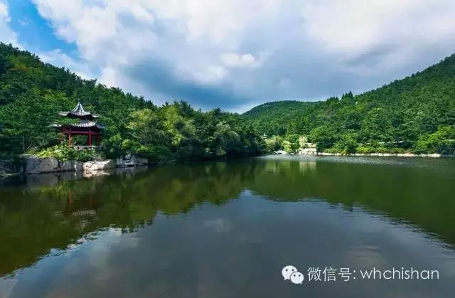 花期已過葉還未紅 去赤山賞云吧！
