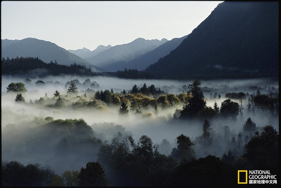 奧林匹克國家公園，華盛頓州攝影：Sam Abell，國家地理創(chuàng)意版