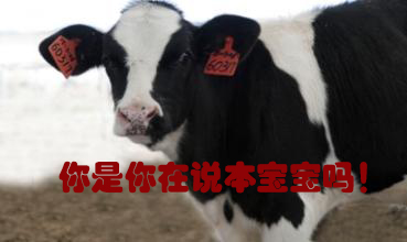 關(guān)我什么事！