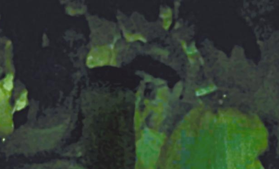 房祖名去年被港媒直擊在中環(huán)夜店與長發(fā)妞互動曖昧，女生正是Nana