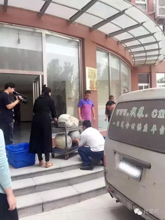 找菜網認購百萬斤冬瓜，解農戶燃眉之急