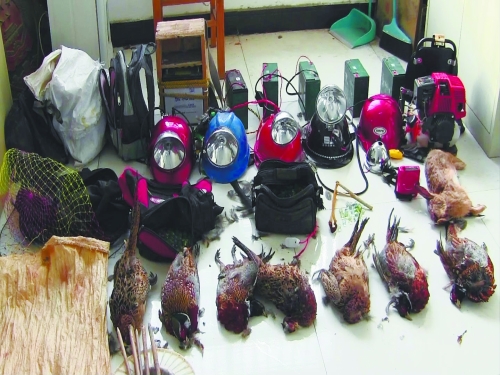森林警方查獲的部分播放機(jī)、礦燈和獵殺的野生動(dòng)物等