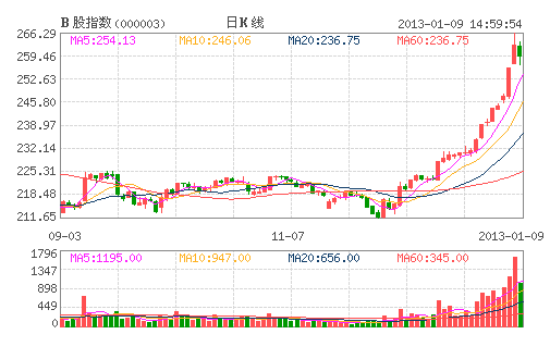 B股指數(shù)整體回調 閩燦坤一枝獨秀仍漲停
