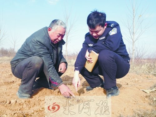 牡丹苗被盜之后，郭萬通又補種的牡丹苗已經(jīng)發(fā)芽