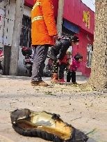 老漢右腿燒傷，樹(shù)下扔了一只燒焦的鞋