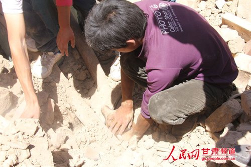 小黃狗露出了鼻子。王生元/攝