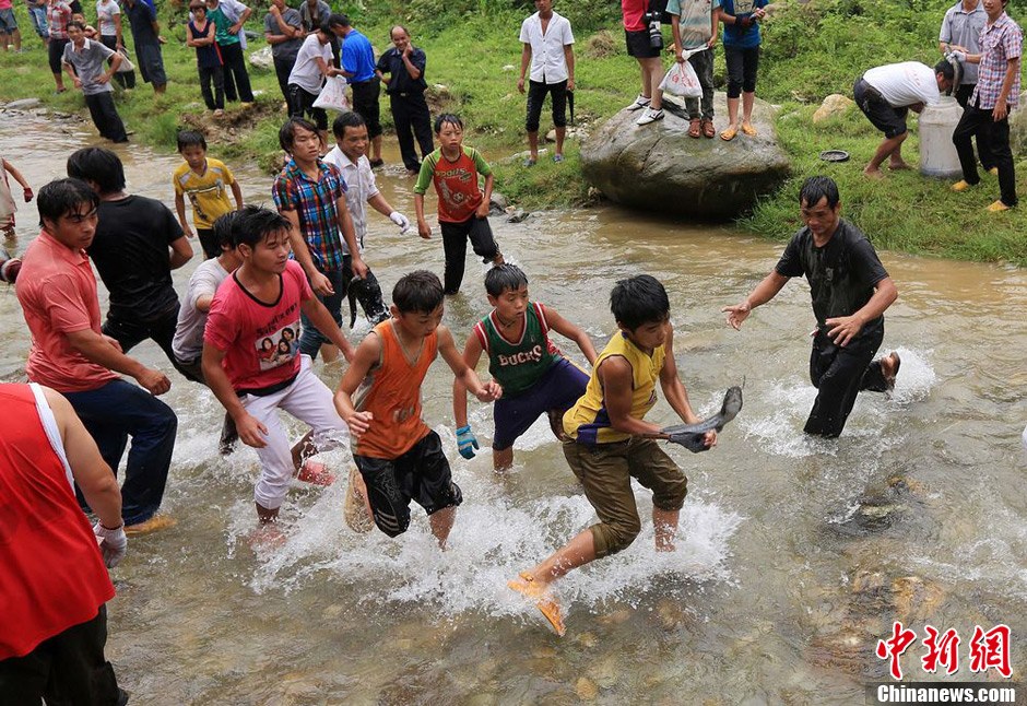 7月9日，村民在小河里摸魚搶魚。譚凱興 攝