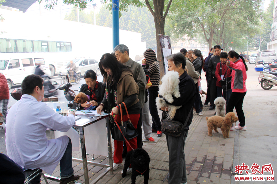 早上8點多，鄭州城市養(yǎng)犬金水區(qū)辦證點已經(jīng)排起了長隊