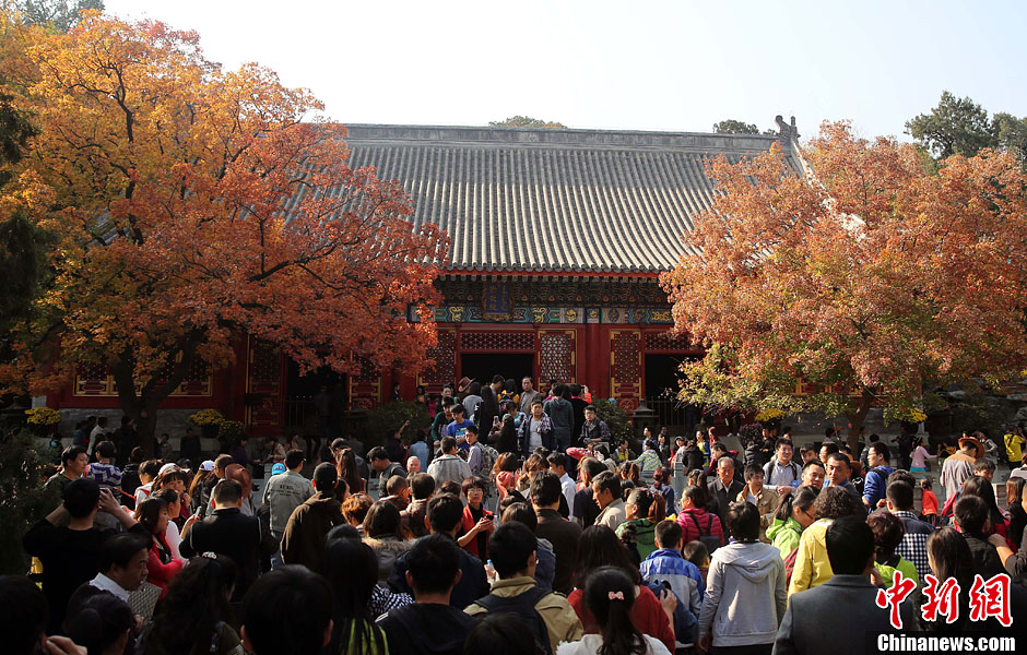 　10月26日，北京香山公園內(nèi)游客摩肩接踵。