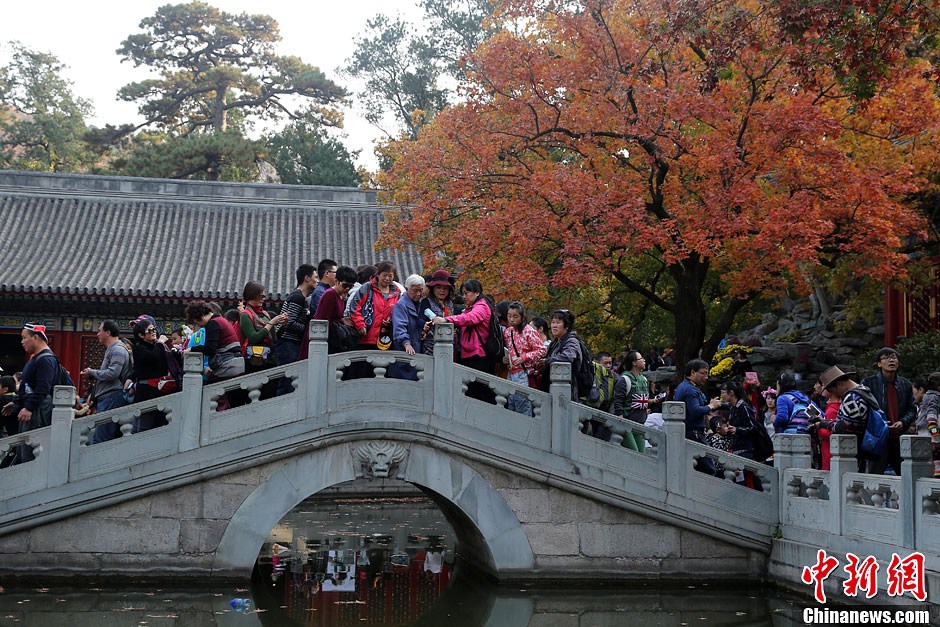 　10月26日，北京香山公園內(nèi)游客摩肩接踵。