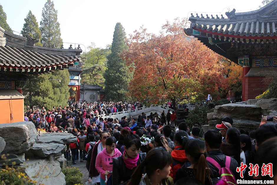 　10月26日，北京香山公園內(nèi)游客摩肩接踵。