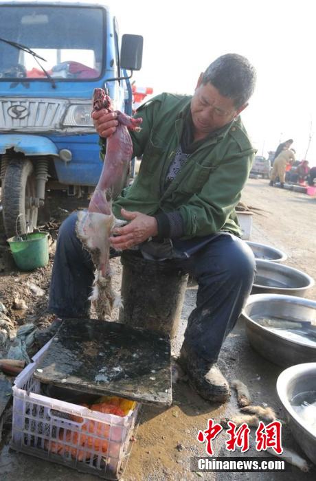 圖為12月1日，104國道靜海縣城附近，顧客挑好后，商販拎著死兔將皮完整地扒下來。田寶希 攝 圖片來