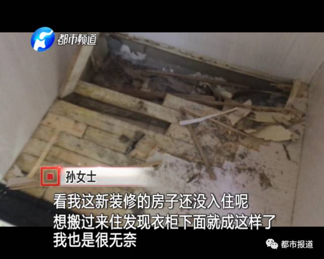 蟻族大軍入侵！十幾萬裝修的新家被“吃掉”