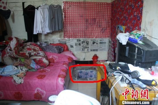 圖上紅圈內(nèi)為嫌犯所挖地窖入口。 吳佳蔚 攝