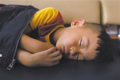 9月6日，等待錄制節(jié)目的多多躺在沙發(fā)上熟睡。新京報(bào)記者 侯少卿 攝
