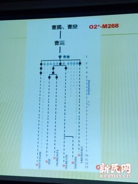 圖說：復旦課題組發(fā)布曹操家族DNA研究結果。新民網 記者 李欣 攝