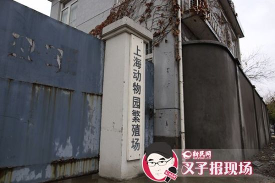 圖說(shuō)：新民網(wǎng)記者趕到時(shí)，上海動(dòng)物園繁殖場(chǎng)大門(mén)緊閉。新民網(wǎng) 記者 蕭君瑋 攝