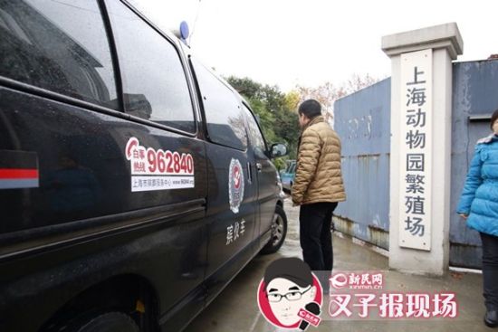 殯葬車(chē)到達(dá)現(xiàn)場(chǎng)。新民網(wǎng) 記者 蕭君瑋 攝