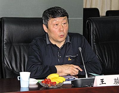 國(guó)家能源局新能源和可再生能源司司長(zhǎng)王駿。