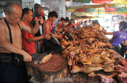 玉林狗肉節(jié)。