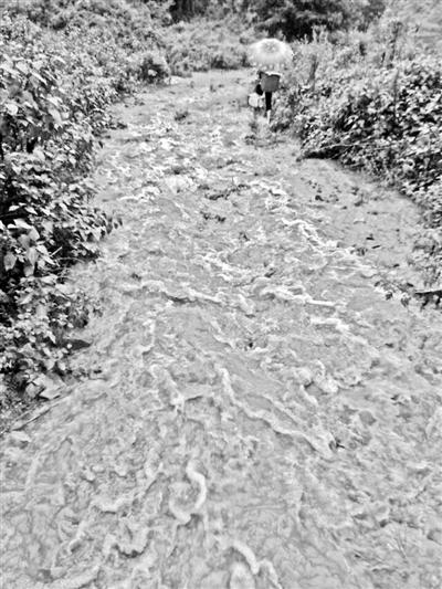 梅子回家的山道，晴天是路，雨天是河