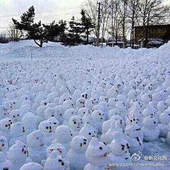 網(wǎng)傳“煙臺(tái)男子大學(xué)生堆1314個(gè)雪人表白”。微博圖