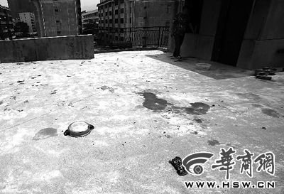 藏獒就養(yǎng)在這個(gè)樓頂，孩子從欄桿處墜落 本報(bào)記者 趙航 攝