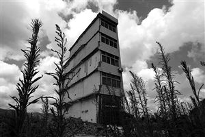 這幢5層的“片片樓”周圍已是一片拆遷后的廢墟，左邊的一堵墻上，不少鋼筋裸露在外面 圖片來源：新華網(wǎng)
