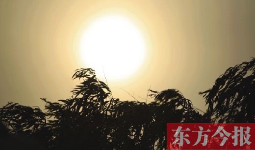 五月十四日，傍晚時(shí)分，鄭州的天空再次被沙塵遮蓋