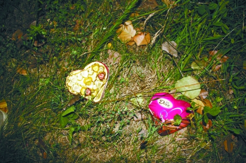 今天是七夕節(jié)，但這對(duì)愛人或許無法甜蜜分享這盒巧克力了……