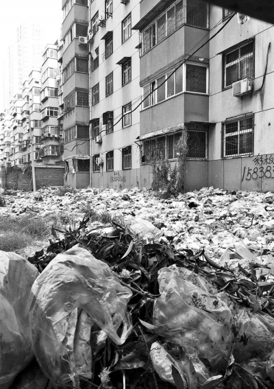 透過擋板縫向內看，30多米垃圾已經將居民樓包圍。