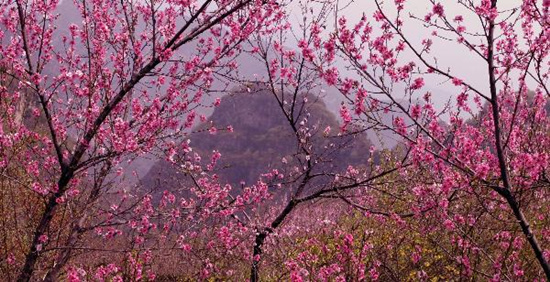 撿垃圾換玫瑰 女人節(jié) 愛(ài)在神農(nóng)山！