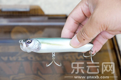 　　又稱擬餌釣魚,起源于歐洲,國內(nèi)翻譯為“路亞”。