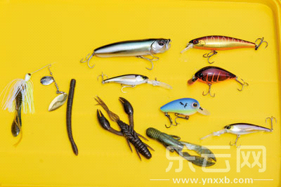 　　又稱擬餌釣魚,起源于歐洲,國內(nèi)翻譯為“路亞”。