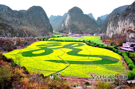 　　貴州油菜花景自以“立體多層,起伏跌宕”的油菜花景觀著稱。(圖片來源:CFP)
