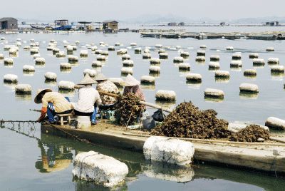 以漁為生，造就了他們不同于內(nèi)地的口味
