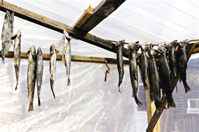 長白山腳下一家小餐館內(nèi)晾曬的冷水魚。