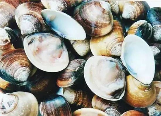 秋季最適合吃的海鮮是這10種 你吃對(duì)了嗎？
