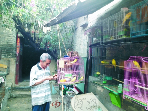 郭家大院的看護(hù)人郭天育老人在給鸚鵡喂食，對(duì)大院，他很不舍。