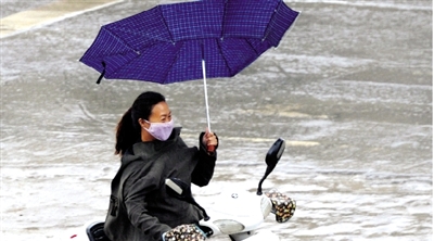 昨日下午，隴海路上，雨中風(fēng)大，一位女士的傘被吹翻了。