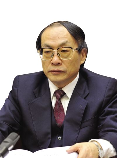 劉志軍（資料圖片）。新華社發(fā)