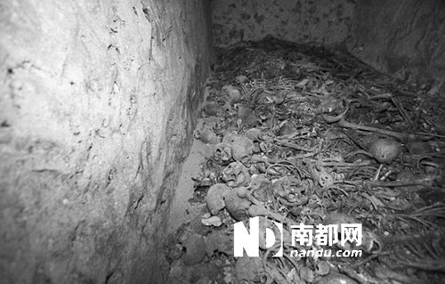 　5月29日，在以色列特拉維夫市雅法地區(qū)，一處集體墳?zāi)贡话l(fā)現(xiàn)。