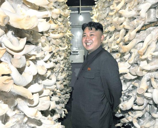 朝鮮落實經(jīng)濟(jì)十年戰(zhàn)略 欲在2020年成發(fā)達(dá)國家