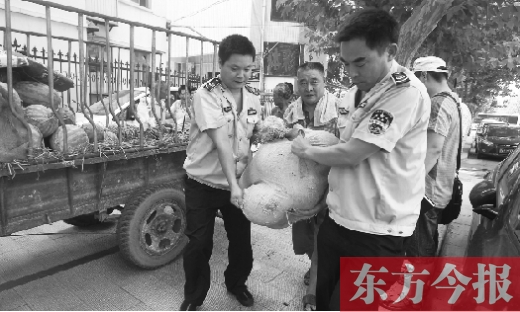 昨日，鄭州金水區(qū)執(zhí)法局的執(zhí)法隊員捐錢買瓜，替瓜農(nóng)解憂