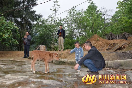 村里人知道后，前來(lái)看熱鬧