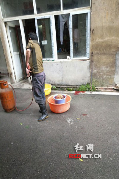 5月8日，男子在校園里殺狗，地上殘留一塊血跡。目擊者供圖。