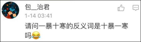 鶴立雞群？雞立鶴群！