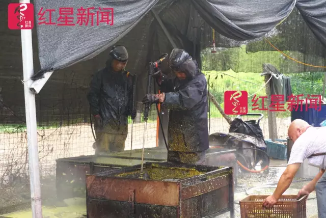 文玩核桃遇冷由幾萬一對(duì)降到5元沒人要？商戶否認(rèn)