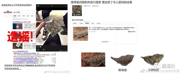 PGone又教給我們一個新詞：虐粉。